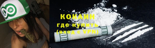 твердый Алексин