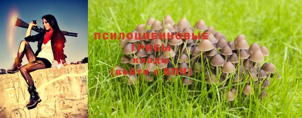 трава Алзамай
